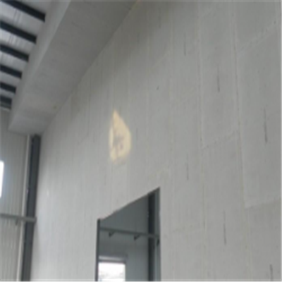 腾冲新型建筑材料掺多种工业废渣的ALC|ACC|FPS模块板材轻质隔墙板